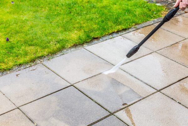 Patio cleaning service in Nottinghamshire removing algae and restoring paving