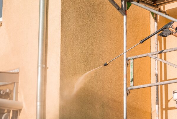 Render cleaning in Nottinghamshire removing algae and restoring exterior walls